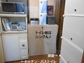 f:id:yamamayuga:20201202032234j:plain