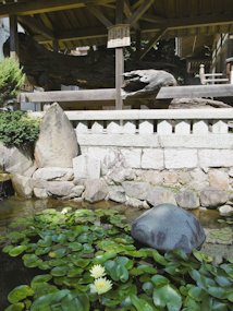 f:id:yamamayuga:20201205005036j:plain