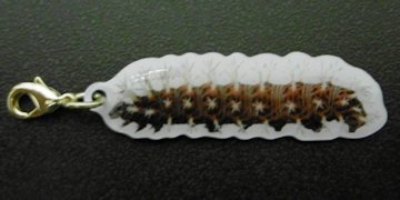 f:id:yamamayuga:20201220001803j:plain