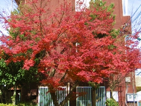 f:id:yamamayuga:20201224000228j:plain