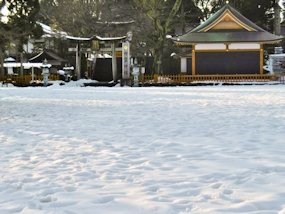 f:id:yamamayuga:20210109012650j:plain