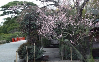 f:id:yamamayuga:20210116015703j:plain