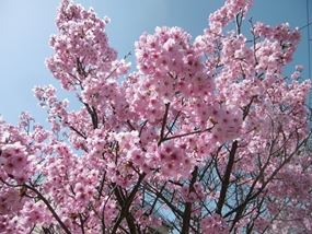 f:id:yamamayuga:20210320063446j:plain