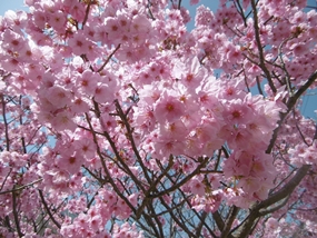 f:id:yamamayuga:20210320063458j:plain