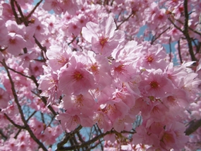 f:id:yamamayuga:20210320063511j:plain