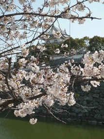 f:id:yamamayuga:20210325020044j:plain