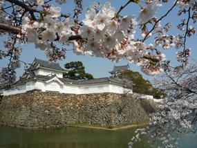 f:id:yamamayuga:20210325020130j:plain