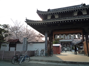 f:id:yamamayuga:20210325020259j:plain