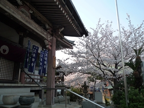 f:id:yamamayuga:20210325020317j:plain