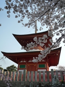 f:id:yamamayuga:20210325020330j:plain