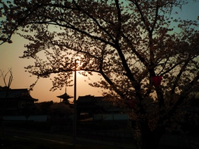 f:id:yamamayuga:20210325020347j:plain
