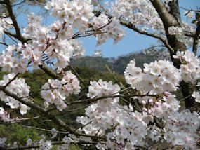 f:id:yamamayuga:20210331004404j:plain