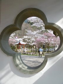 f:id:yamamayuga:20210331004500j:plain