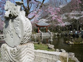 f:id:yamamayuga:20210331004514j:plain
