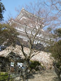f:id:yamamayuga:20210331004542j:plain