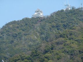 f:id:yamamayuga:20210331004556j:plain
