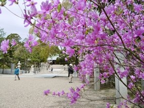 f:id:yamamayuga:20210404063517j:plain