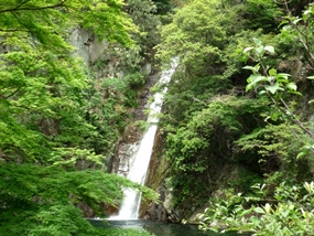 f:id:yamamayuga:20210520000534j:plain