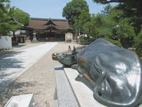 f:id:yamamayuga:20210607000523j:plain