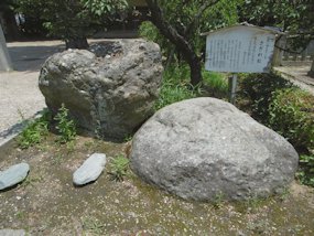 f:id:yamamayuga:20210607000534j:plain