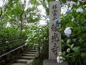 f:id:yamamayuga:20210614001045j:plain