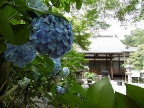 f:id:yamamayuga:20210614001111j:plain