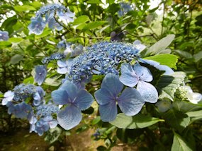 f:id:yamamayuga:20210614001200j:plain