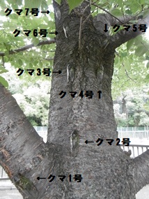 f:id:yamamayuga:20210802000353j:plain