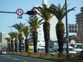 f:id:yamamayuga:20210922061538j:plain