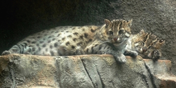 f:id:yamamayuga:20210926002119j:plain