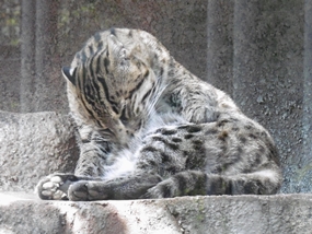 f:id:yamamayuga:20210926002539j:plain