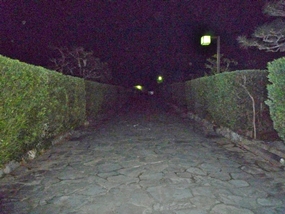 f:id:yamamayuga:20210930042155j:plain