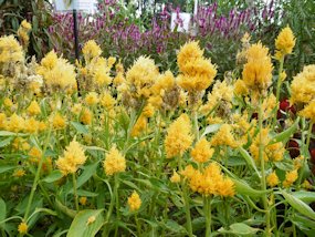 f:id:yamamayuga:20211009023146j:plain