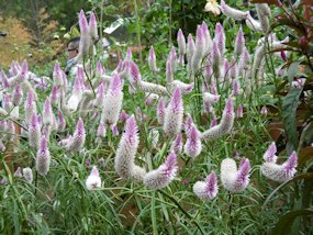 f:id:yamamayuga:20211009023158j:plain