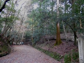 f:id:yamamayuga:20211123050258j:plain