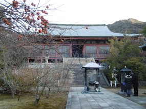f:id:yamamayuga:20211228053643j:plain