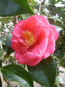 f:id:yamamayuga:20220109021228j:plain