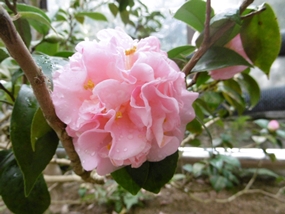 f:id:yamamayuga:20220109021412j:plain