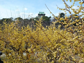 f:id:yamamayuga:20220115085926j:plain