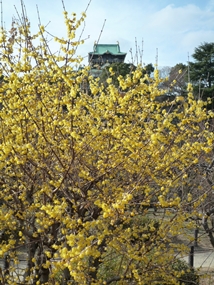 f:id:yamamayuga:20220115085949j:plain