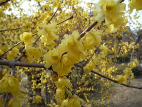 f:id:yamamayuga:20220115090036j:plain