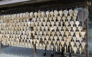 f:id:yamamayuga:20220201001715j:plain