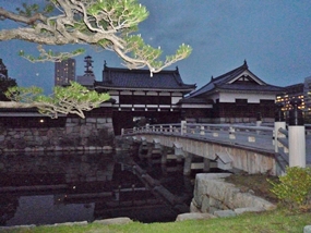 f:id:yamamayuga:20220310043944j:plain