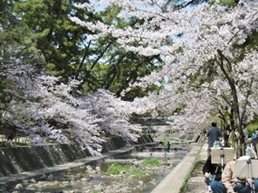 f:id:yamamayuga:20220407035533j:plain