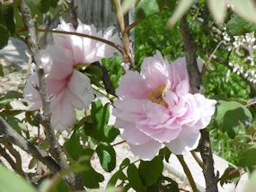 f:id:yamamayuga:20220413032726j:plain