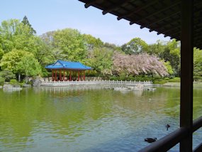 f:id:yamamayuga:20220413032805j:plain