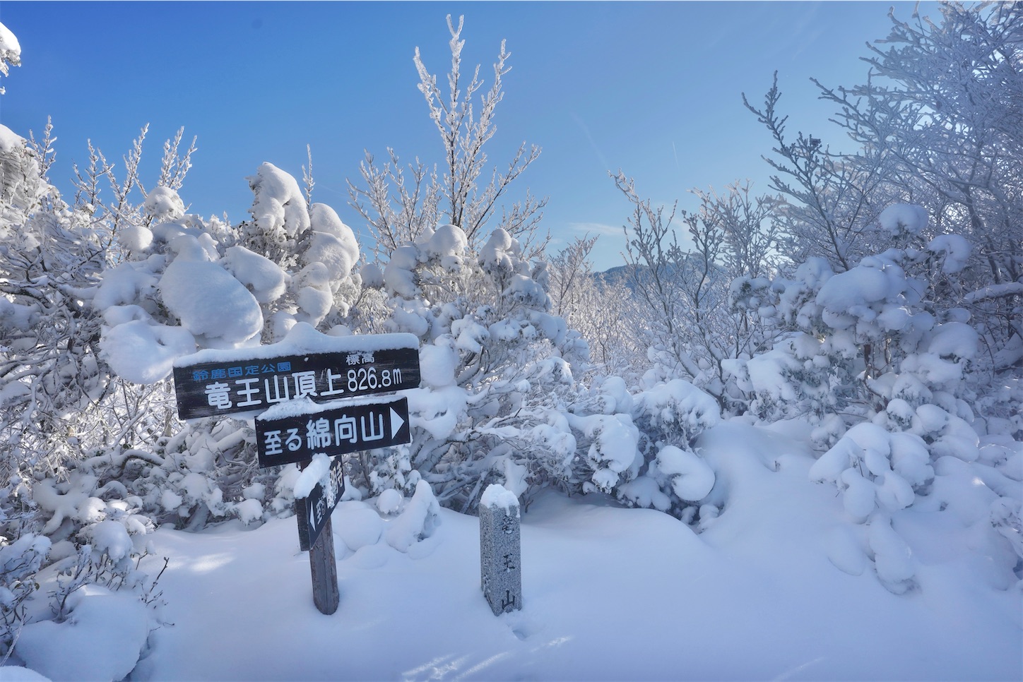 f:id:yamameichiro:20260210203250j:image f:id:yamameichiro:20260210203250j:image