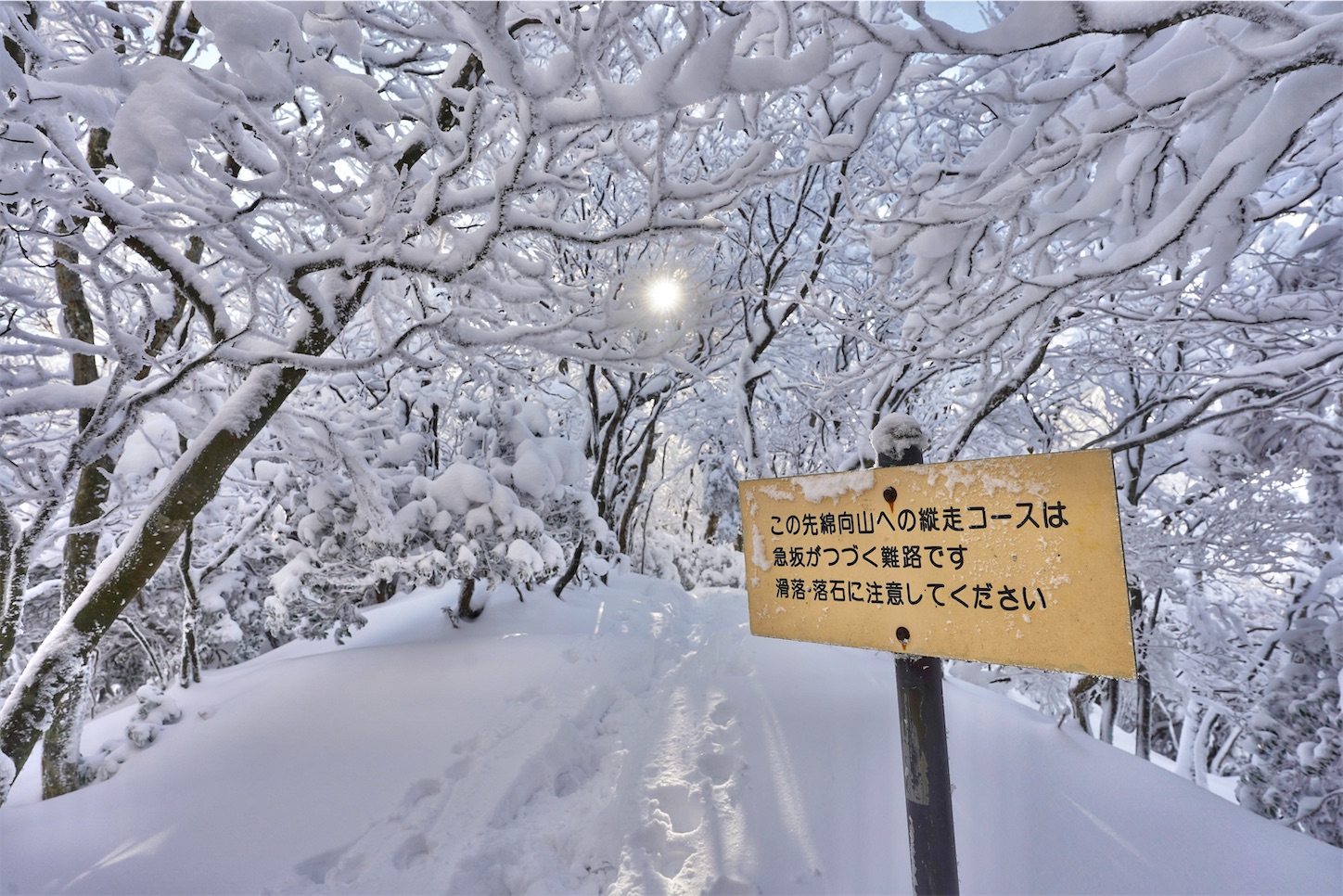 f:id:yamameichiro:20260210203254j:image f:id:yamameichiro:20260210203254j:image