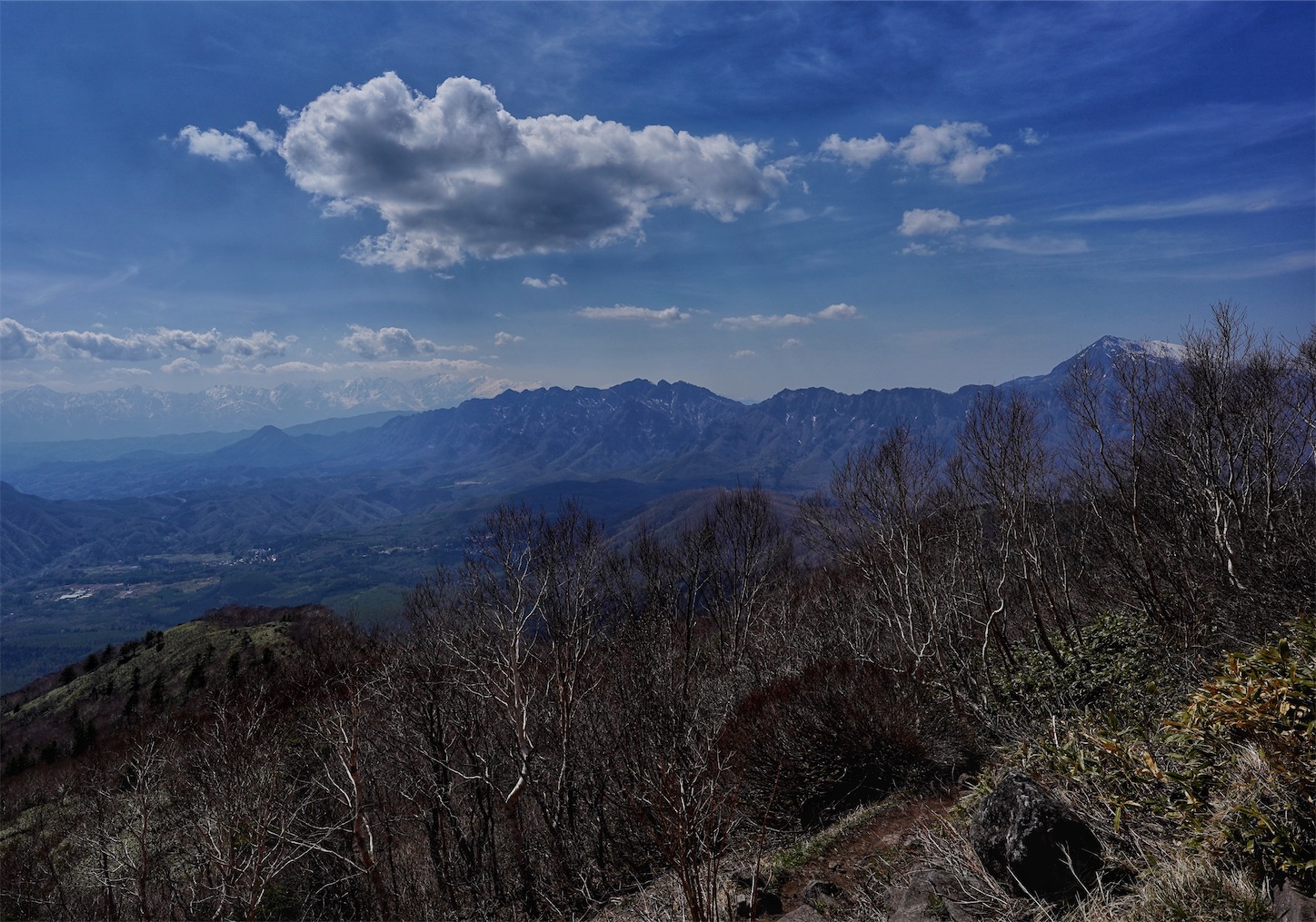 f:id:yamameichiro:20260502211445j:image