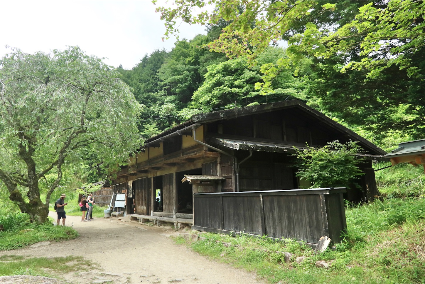 f:id:yamameichiro:20260608165410j:image f:id:yamameichiro:20260608165410j:image
